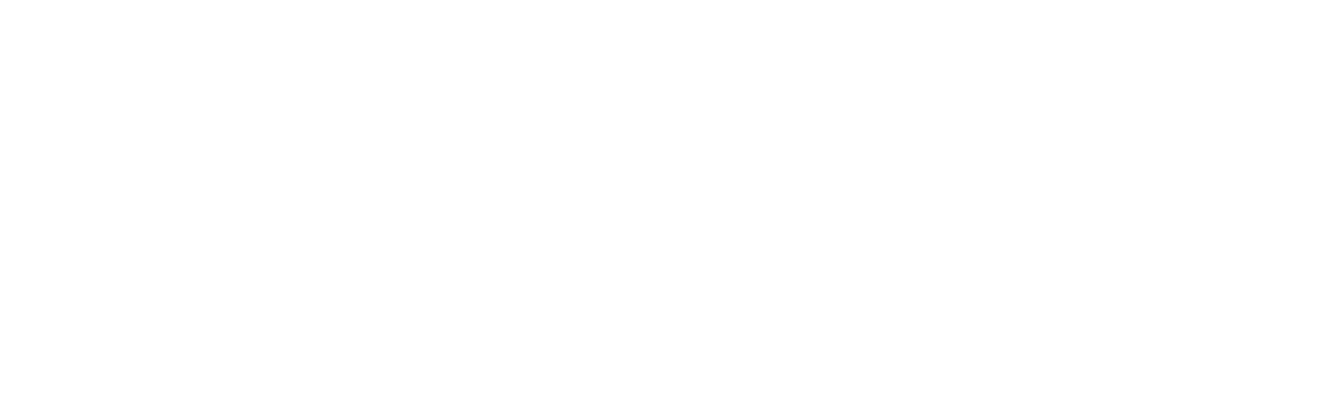 Shanghai Aster Electronics
